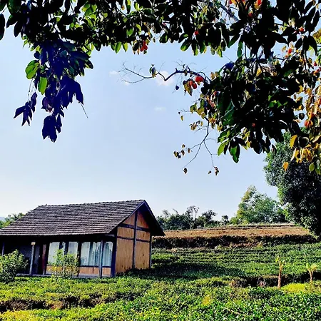 6Nature Bavi Retreat-2